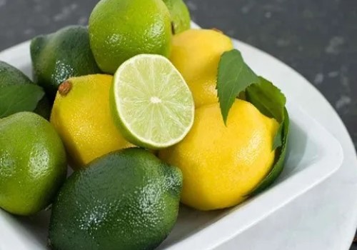 خرید و فروش لیمو ترش پرشین با شرایط فوق العاده